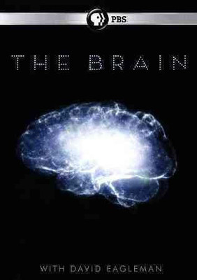 

BRAIN WITH DAVID EAGLEMAN(DVD English)