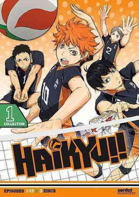 

HAIKYU:COLLECTION 1(DVD English)