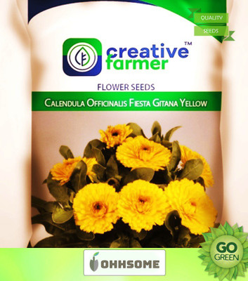 OhhSome Best Flower Seeds For Pots- Calendula Officinalis Fiesta Gitana Yellow Flower Seeds for Gardening - 1 Packet Seed(20 per packet)