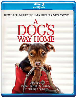 

A Dog's Way Home(Blu-ray English)