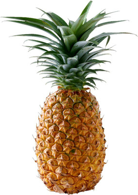 Futaba Mini Pineapple Fruit Seeds-100PCS Seed(100 per packet)