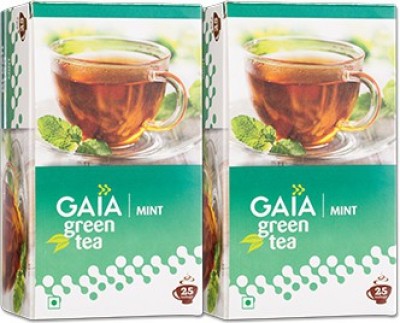 GAIA Green Tea Mint 25 tea bags ( Pack of 2 ) Mint Green Tea Bags Box(2 x 12.5 Bags)