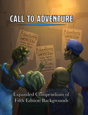 Call To Adventure(English, Hardcover, Seltzer Jerry Joe)