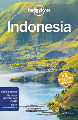 Lonely Planet Indonesia(English, Paperback, Lonely Planet David)