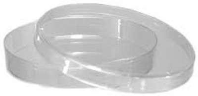 mLabs Polystyrene Disposable Petri Dish(95 mm Pack of 36)