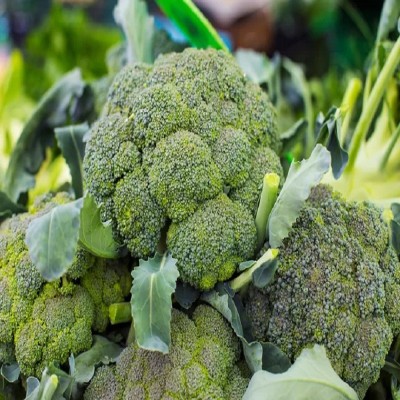 FLORICULTURE GREENS Seeds Plants Garden Broccoli Organic vegetable F1 Hybrid Seeds Pack Seed Seed(90 per packet)