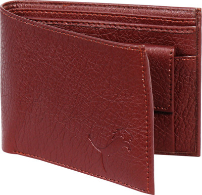 WILD EDGE Men Casual Brown Artificial Leather Wallet(5 Card Slots)