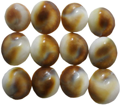 STE Goddess Lakshmi Energized Gomti Chakra pack of 12 Earthenware Yantra(Pack of 12)