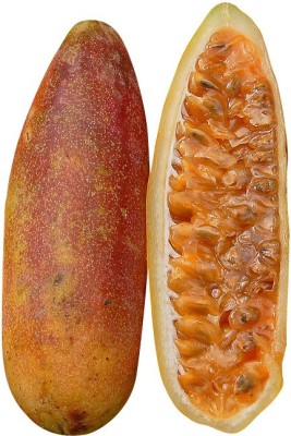 FUTABA Rare Banana Passion Fruit Seeds Seed(20 per packet)