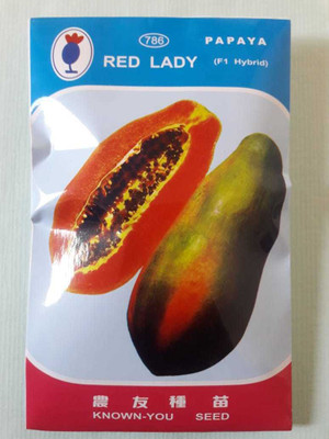 Galaxi Red lady f1 hybrid papaya 786 seeds taiwan Seed(10 per packet)