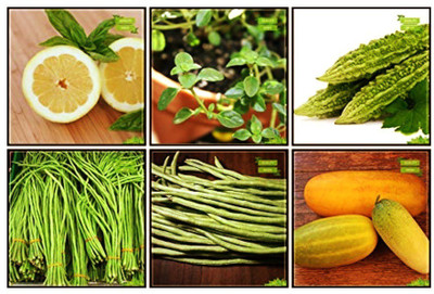 OhhSome Seeds Combo Herb Seeds & Vegetable Seeds : Bittergourd Priyanka - White Large Spindle Fruits , Chilly, Cowpea (Anaswara), Cucumber Sambar, Lemon Basil, Thyme English Winter Fruit Seeds For Home Garden Seed(10 per packet)