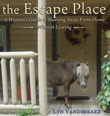 The Escape Place(English, Hardcover, Vandebrake Lyn)