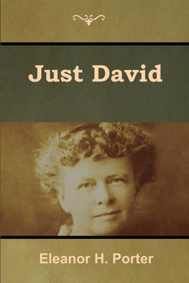 Just David(English, Paperback, Porter Eleanor H)