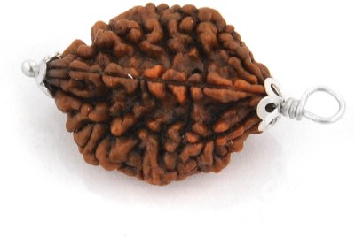 Gems Jewels Online 2 Mukhi Nepali Certified Rudraksha Silver Wood Pendant