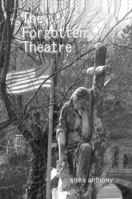 The Forgotten Theatre(English, Paperback, Anthony Shea)
