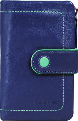 Calfnero Casual Multicolor  Clutch