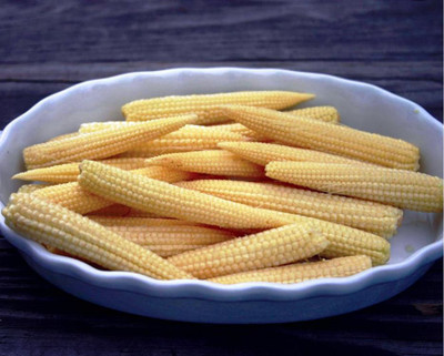 Magnif Exotic Baby Corn HYBRID Vegetables Seeds - Pack of 15 Seeds F1 HYBRID Seed(1000 per packet)