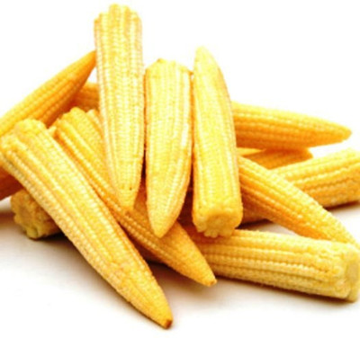 R-DRoz Exotic Baby Corn HYBRID High Quality Seeds - Pack of 15 Seeds F1 HYBRID Seed(15 per packet)