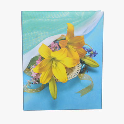 NATRAJ albums leo 120 pocket 4x6 new slide in pp pack Album (Photo Size Supported: 4x6 size) Album(Photo Size Supported: 4x6)