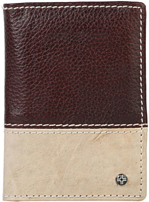 JL Collections 15 Card Holder(Set of 1, Brown, Beige)