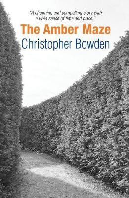 The Amber Maze(English, Paperback, Bowden Christopher)