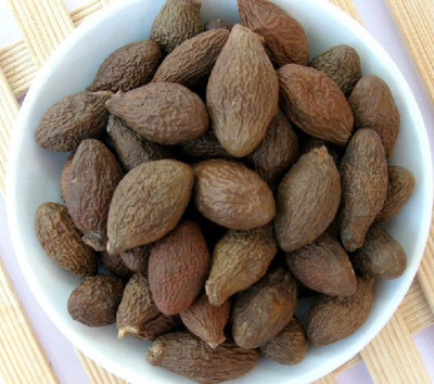 DESIILAAZ DESIILAAZ NIRANJAN PHAL/STERCULIA LYCHNOPHORA/MALVA NUTS - 100 Gm. Seed(25 per packet)