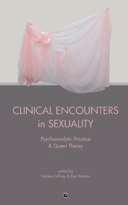 Clinical Encounters in Sexuality(English, Paperback, Giffney Noreen)