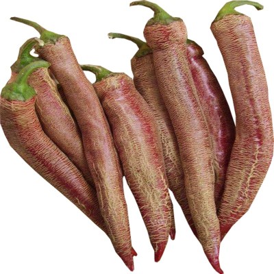 Nema Vezanka Hot Chilli Pepper Seeds - 50 Pcs Seed(50 per packet)