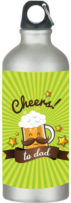 TheYaYaCafe 600 ml Steel Sipper(Pack of 1, Green)