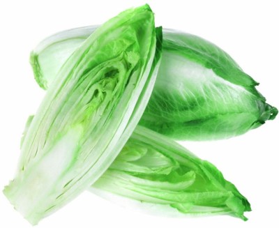FUTABA Chicory Belgian Endive Vegetable Seeds-Green Seed(100 per packet)