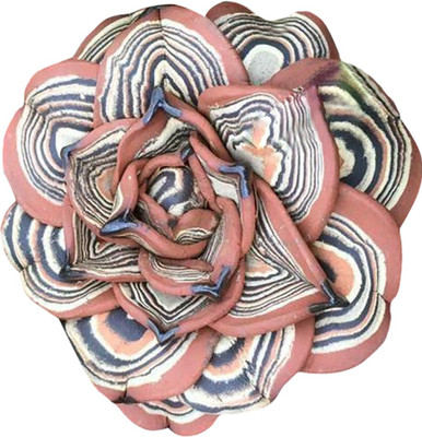 Futaba FUB6521SSDRare African Cactus Succulent Seeds- Rosy Brown -100Pcs Seed(100 per packet)