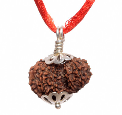 Parashara ARKAM Silver Capped Garbh Gauri Rudraksha / Original Nepali Garbh Gauri Rudraksha with Silver Pendant and detailed Puja and wearing instructions Wood Pendant