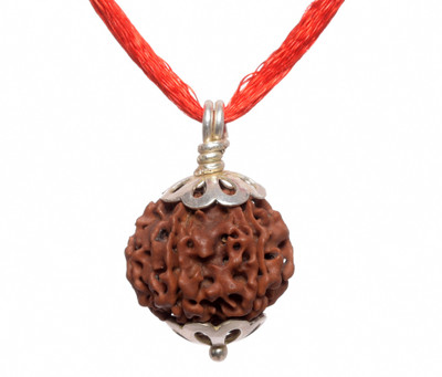 Parashara ARKAM Silver Capped Six Mukhi Rudraksha / Original Nepali 6 Mukhi Rudraksha with Silver Pendant and detailed Puja and wearing instructions Wood Pendant
