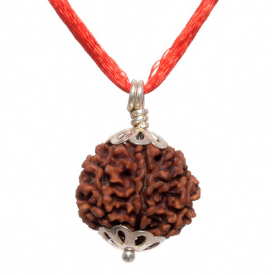 Parashara ARKAM Silver Capped Seven Mukhi Rudraksha / Original Nepali 7 Mukhi Rudraksha with Silver Pendant and detailed Puja and wearing instructions Wood Pendant