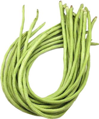 Nema Long Bean Vigna Grains Vegetable Seeds-20Pcs Seed(20 per packet)