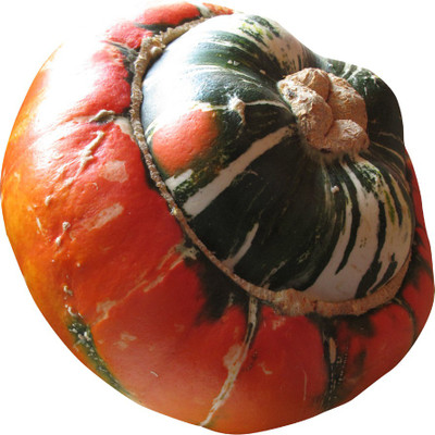 Nema Pepo Turkish Turban Pumpkin Seeds-20Pcs Seed(20 per packet)