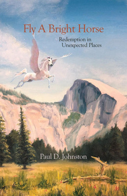 Fly a Bright Horse(English, Paperback, Johnston Paul D)