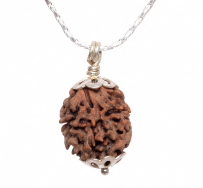 Parashara ARKAM Two Mukhi Oval Rudraksha with Silver Pendant and Silver Chain / Original 2 Mukhi Rudraksha and detailed Puja and wearing instructions Wood Pendant
