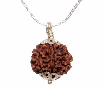 Parashara Seven Mukhi Rudraksha with Silver Pendant and Silver Chain Wood Pendant