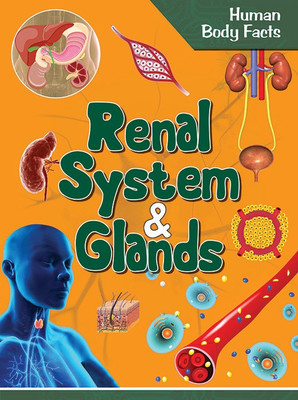 Renal System & Glands : Human Body Facts(English, Paperback, Om Books Editorial Team)