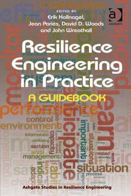 Resilience Engineering in Practice(English, Electronic book text, unknown)