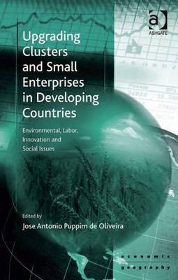 Upgrading Clusters and Small Enterprises in Developing Countries(English, Electronic book text, unknown)
