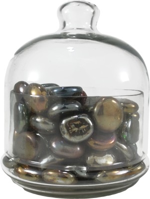 Decent Glass Glass Pickle Container & Salt Pepper Container  - 0 ml(Clear)