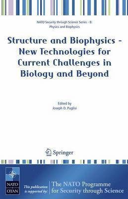 Structure and Biophysics--New Technologies for Current Challenges in Biology and Beyond(English, Electronic book text, Puglisi Joseph D)