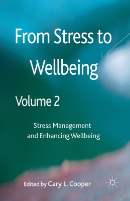 From Stress to Wellbeing Volume 2(English, Paperback, unknown)