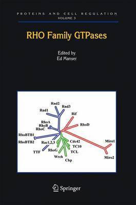 Rho Family Gtpases(English, Electronic book text, Manser Ed)