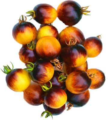 Nema Organic Tomato Seeds -Yellow and Black-100pcs Seed(100 per packet)