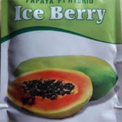 FRESHO iceberry papaya hybrid seeds pack of 5 gram Seed(325 per packet)