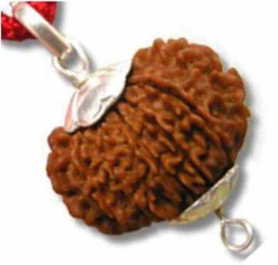 Jewelswonder Natural Fourteen Face /14 Mukhi Rudraksha With JGL Lab Certified Wood