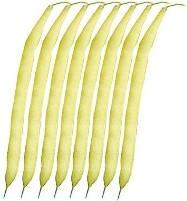 Nema Yellow Wax Bean Seeds - 5 Pcs Seed(5 per packet)